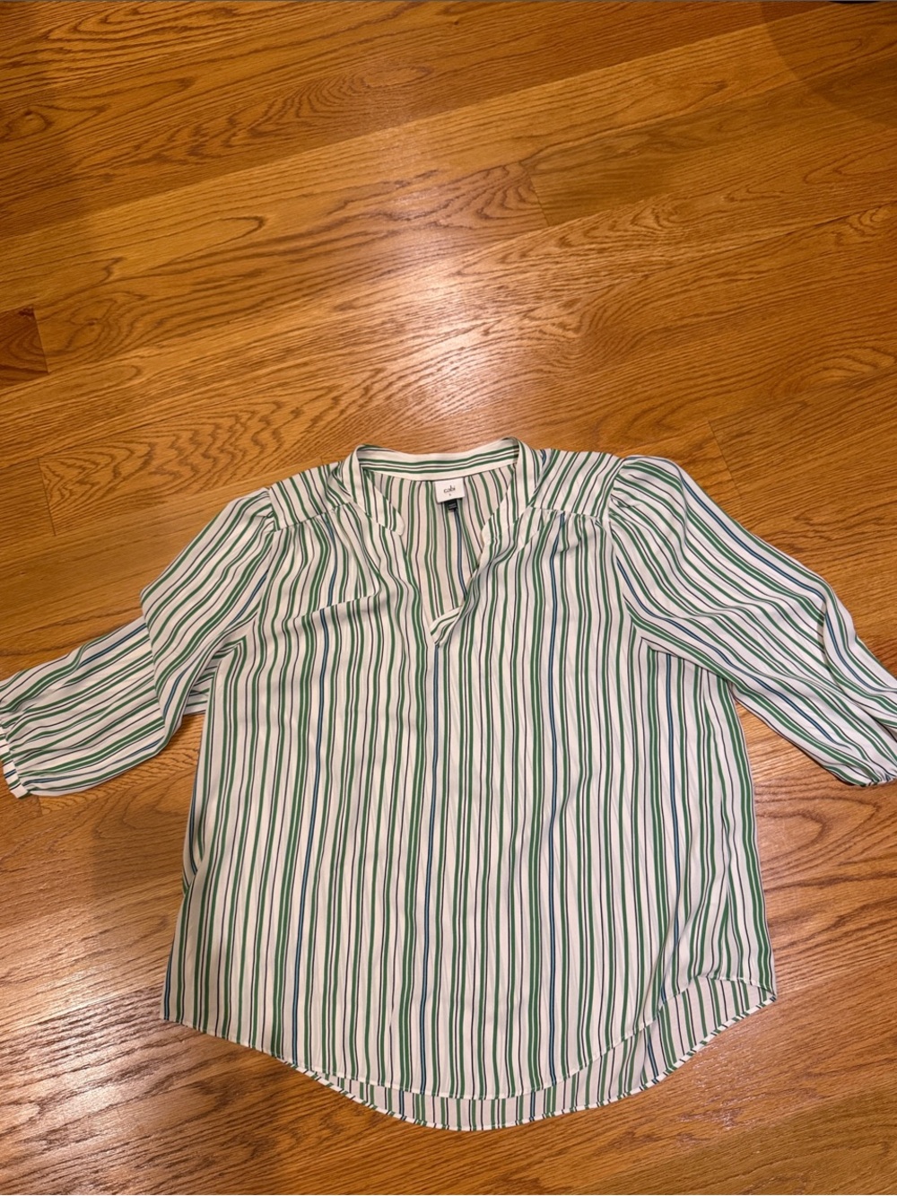 CAbi Vertical Stripe V-Neck Blouse in Green and White